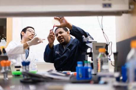 A biology student and professor work together on research in the lab.