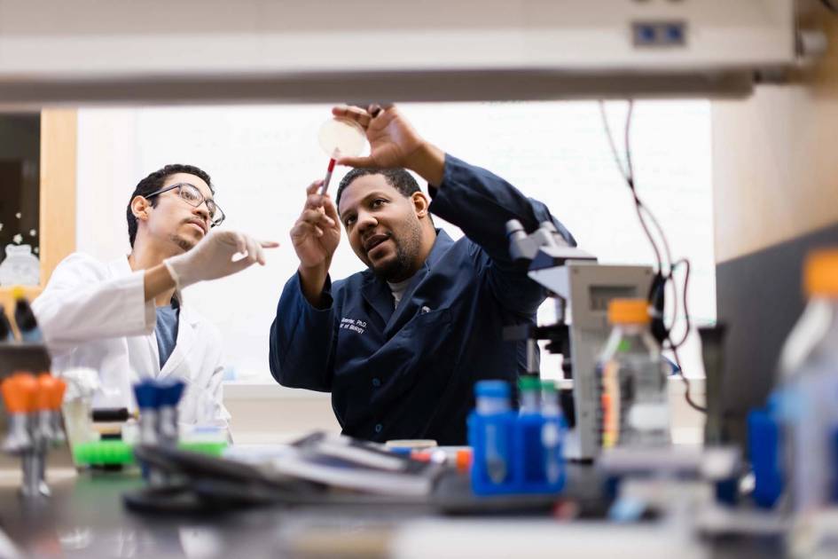 An biology professor works one on one with a student in a lab.