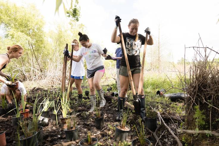 Rollins environmental studies students work on clean up around Lake Virginia