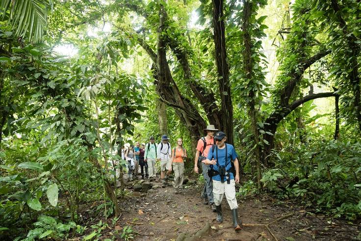 Environmental studies professor Barry Allen leading students through a Costa Rican rainforest.