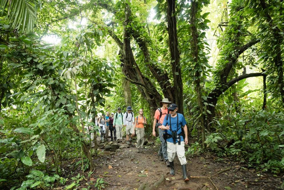 Environmental studies professor Barry Allen leading students through a Costa Rican rainforest.