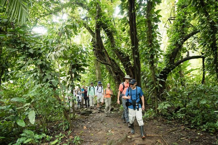 Students hiking through the Costa Rican rainforest.