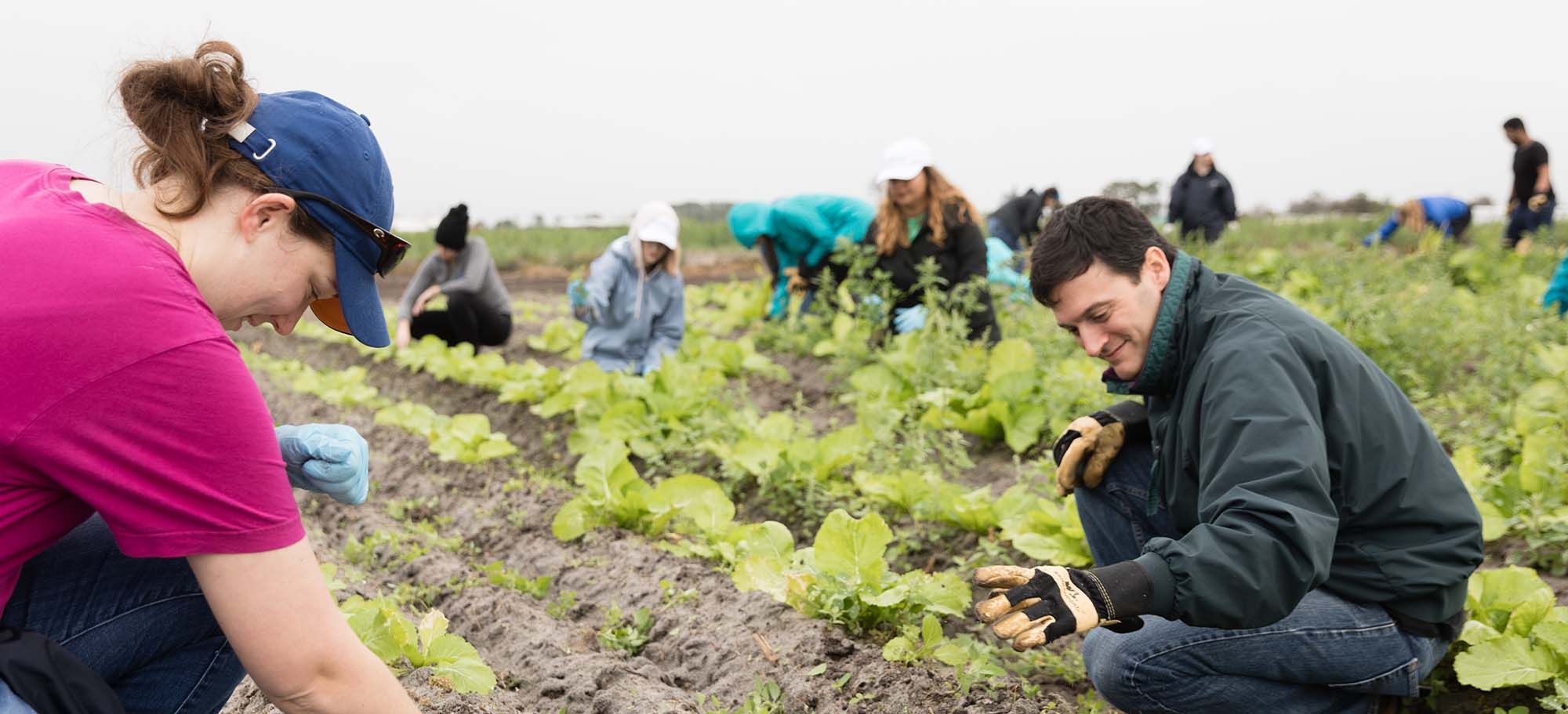 Bonner program students working with an organization in Apopka Florida to support field workers