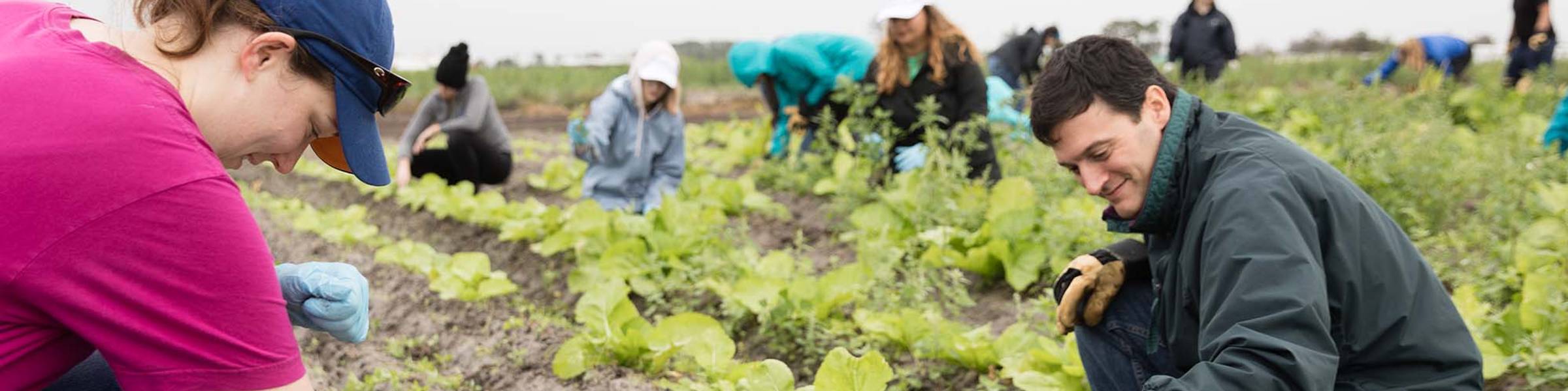 Bonner program students working with an organization in Apopka Florida to support field workers