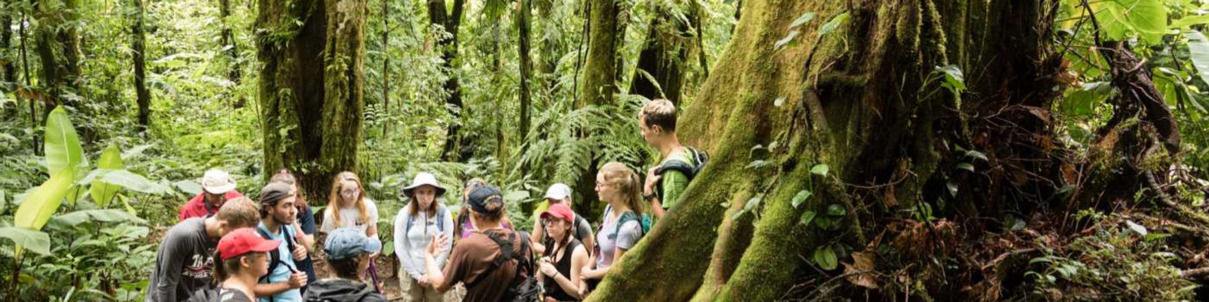 Environmental studies professor Barry Allen leads students on a field study in Costa Rica.