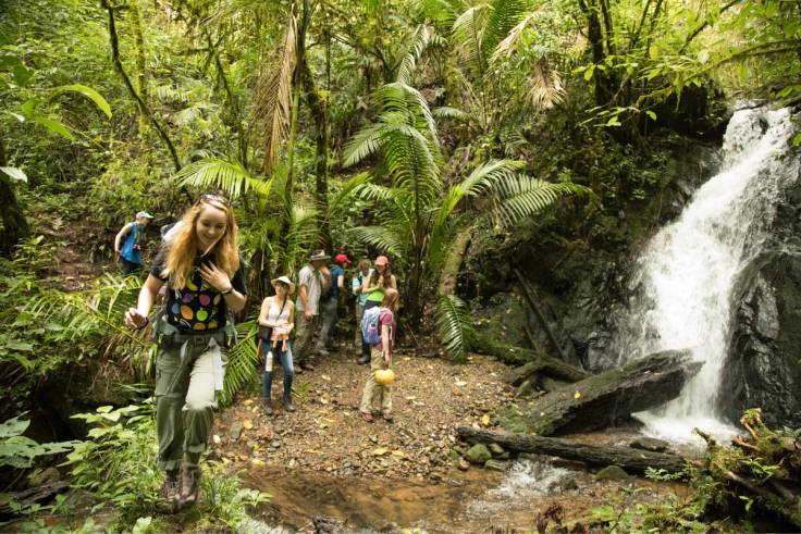 Rollins Latin American & Caribbean studies students walk through a rainforest in Costa Rica.