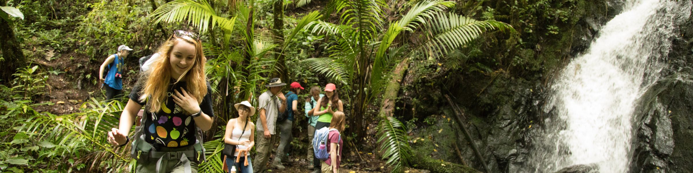 Students hiking through forest in Costa Rica.