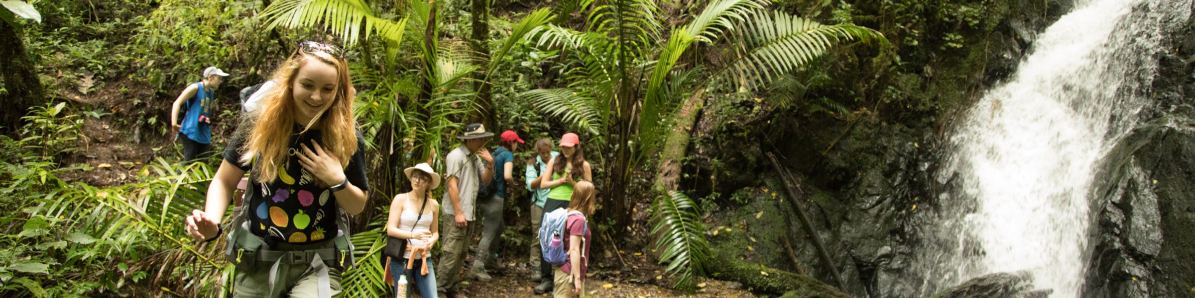 Rollins students hike through a rainforest in Costa Rica.