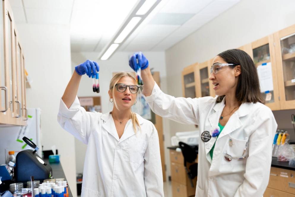 A student and faculty work together in the biology lab