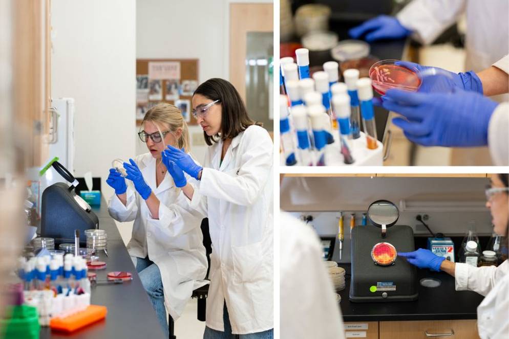 Bennett Coker ’26 with biology professor Brendaliz Santiago-Narvaez