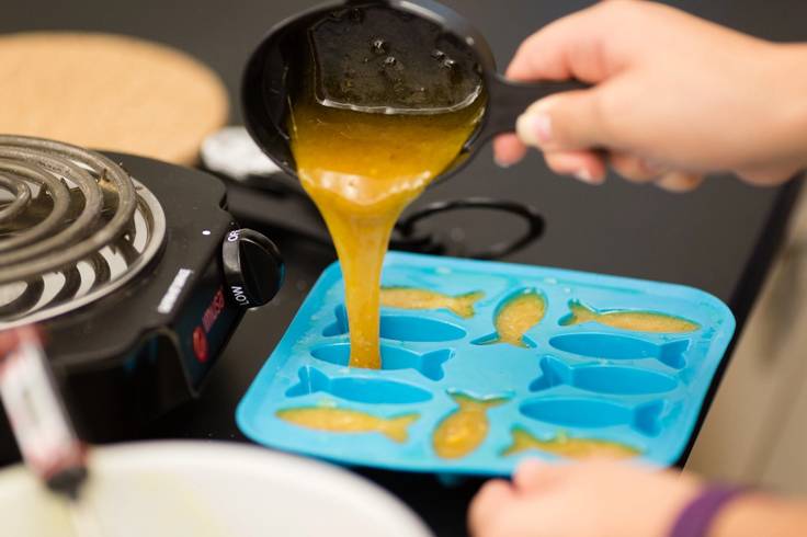 A student pours gelatin into fish-shaped molds to make gummies.