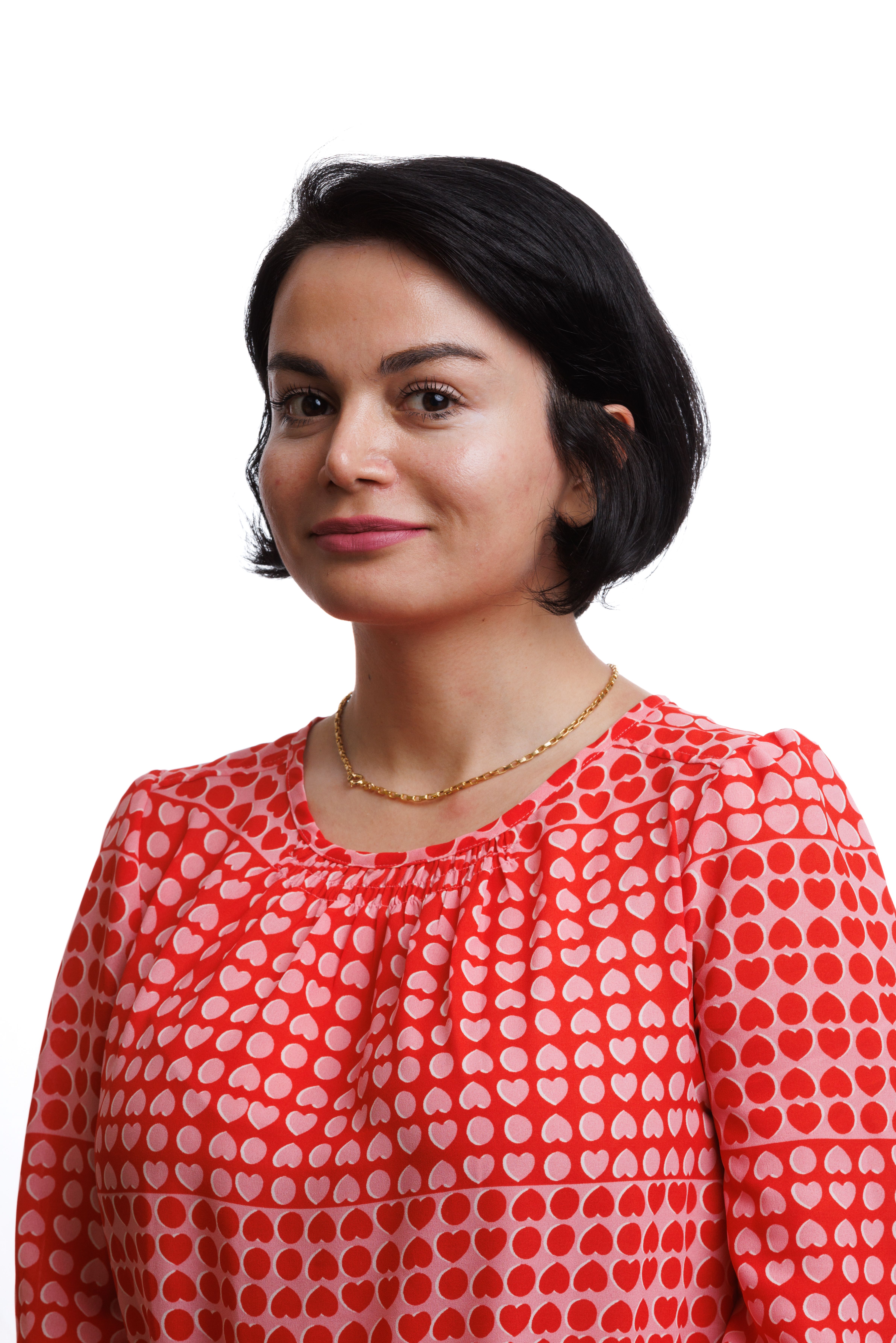 Headshot of Poroshat Yazdanbakhsh
