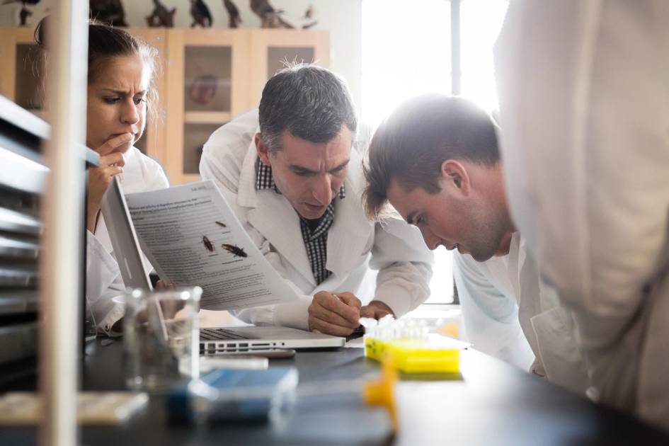 Rollins professor peers at a specimen with a student group, within a Rollins lab.