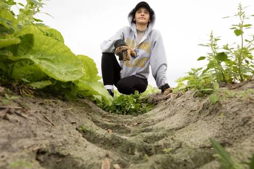 A Rollins student in a crop field.