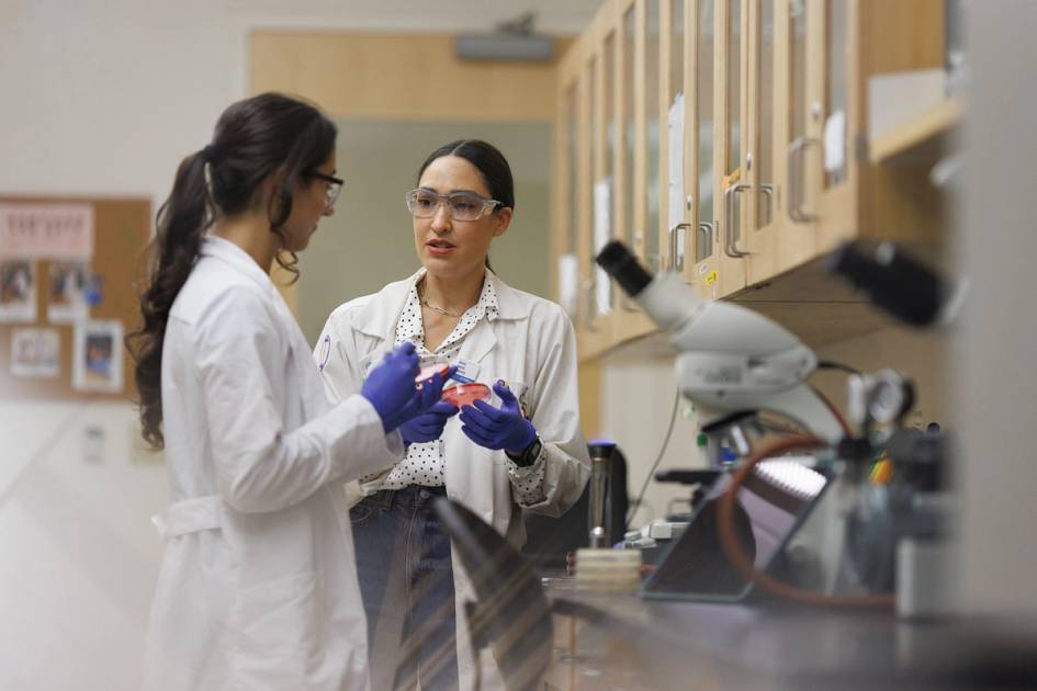 A biology professor works one on one with a student in a lab.