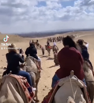 A screenshot of a TikTok video