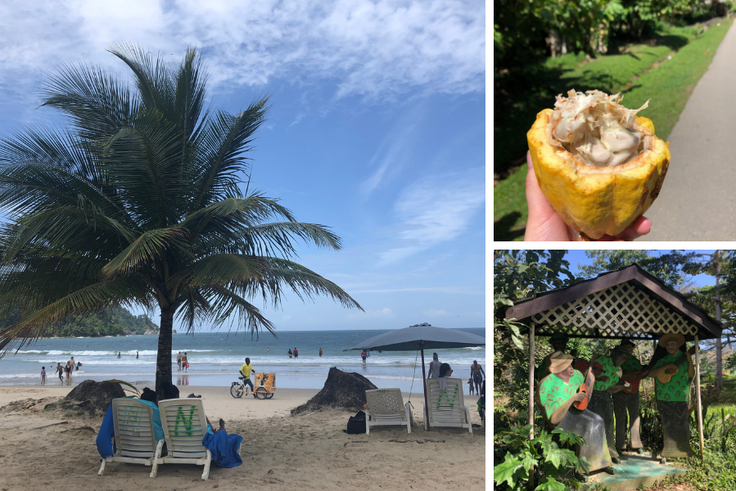 Students on a field study to Trinidad and Tobago in the Caribbean.