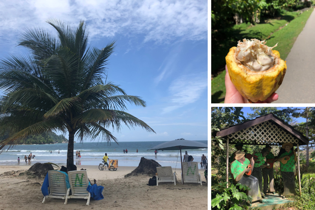 Students on a field study to Trinidad and Tobago in the Caribbean.