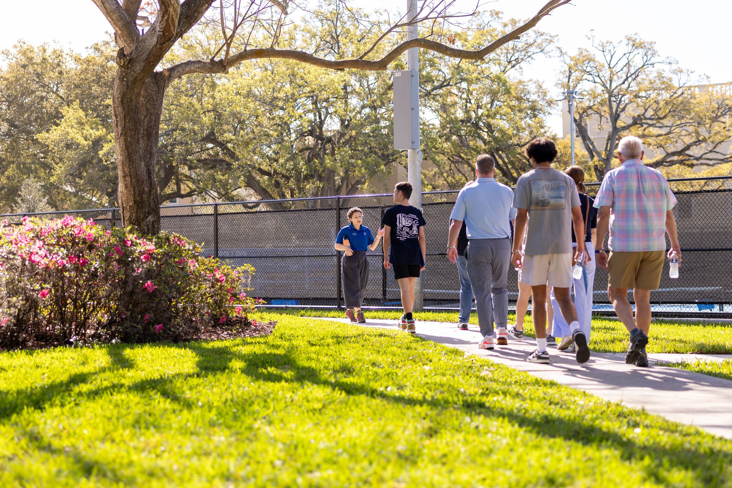 A student tour guide in a blue polo walks backward along a sunny campus path, leading a group of prospective students and family members past blooming pink azaleas and sprawling oak trees.