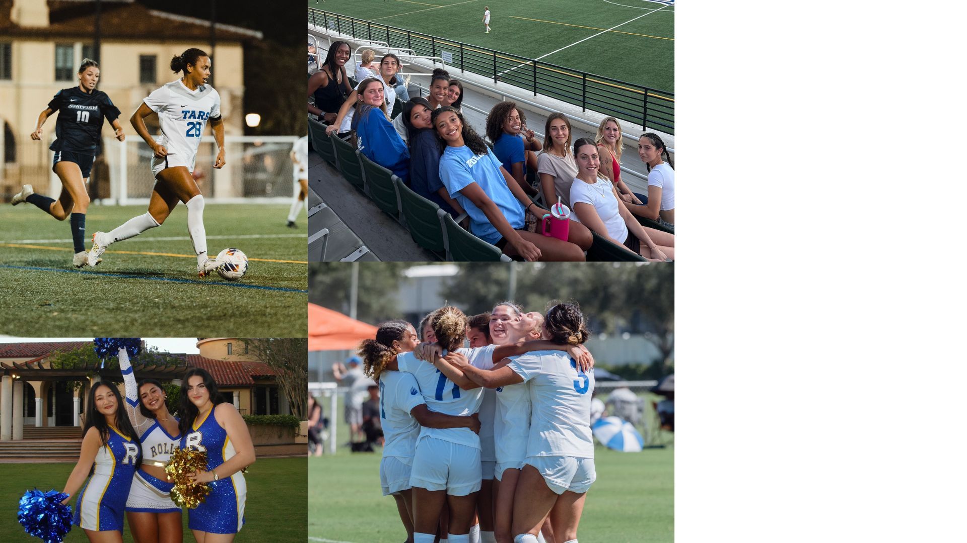 A collage of Rollins College athletes.