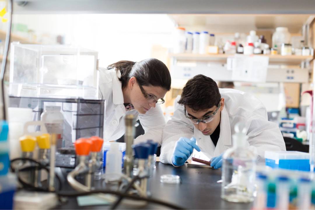 A student and professor lean in to look at a lab sample.