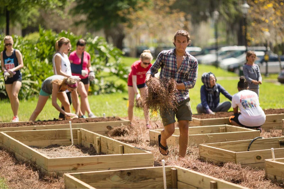 Students working in a garden.