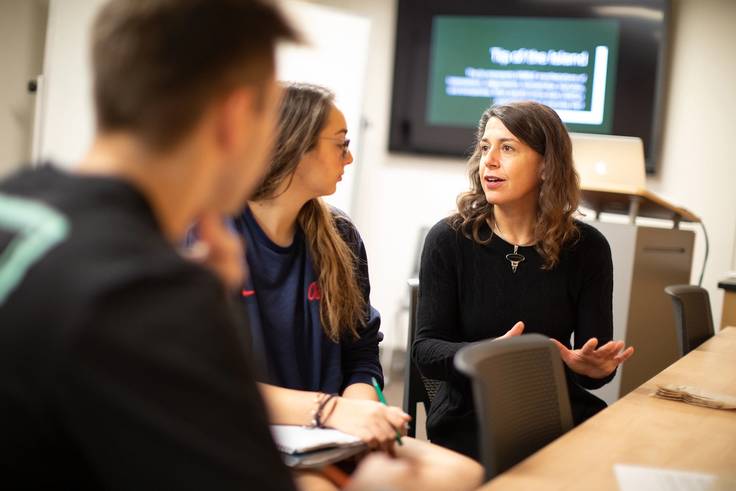Rollins students speak to a professor about a class project.