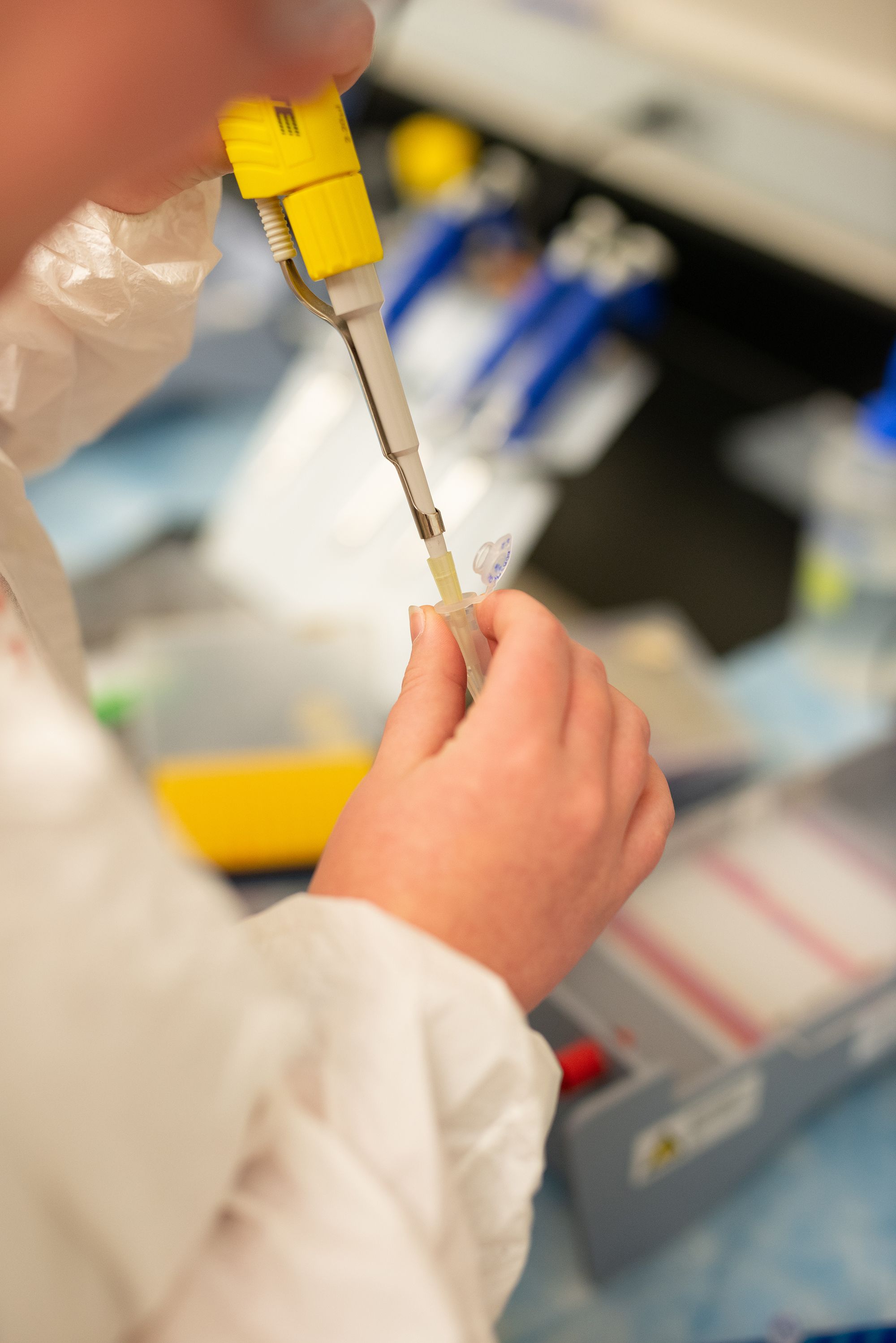 A student holding taking a DNA sample.