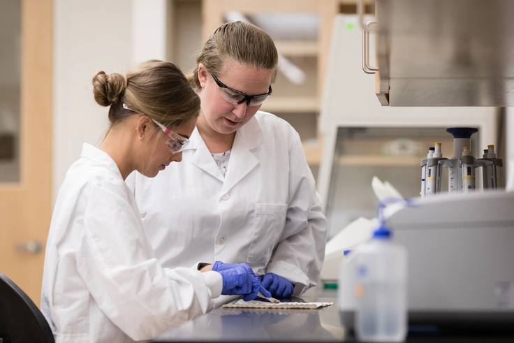 A Rollins professor and student work together in a biology lab.