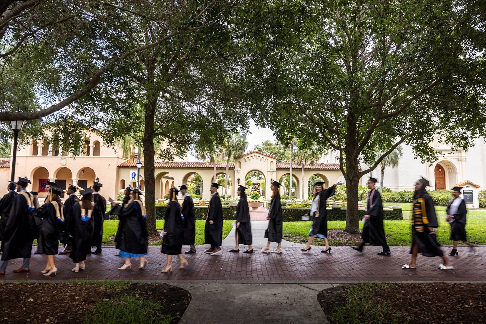 photo of students lining up in caps and gowns on graduation day