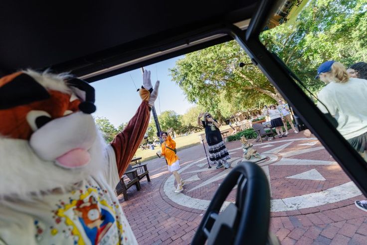 Rollins mascot fox driving around campus and waving at pedestrians