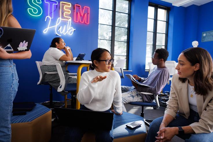 Student and professor meeting in the STEM Hub
