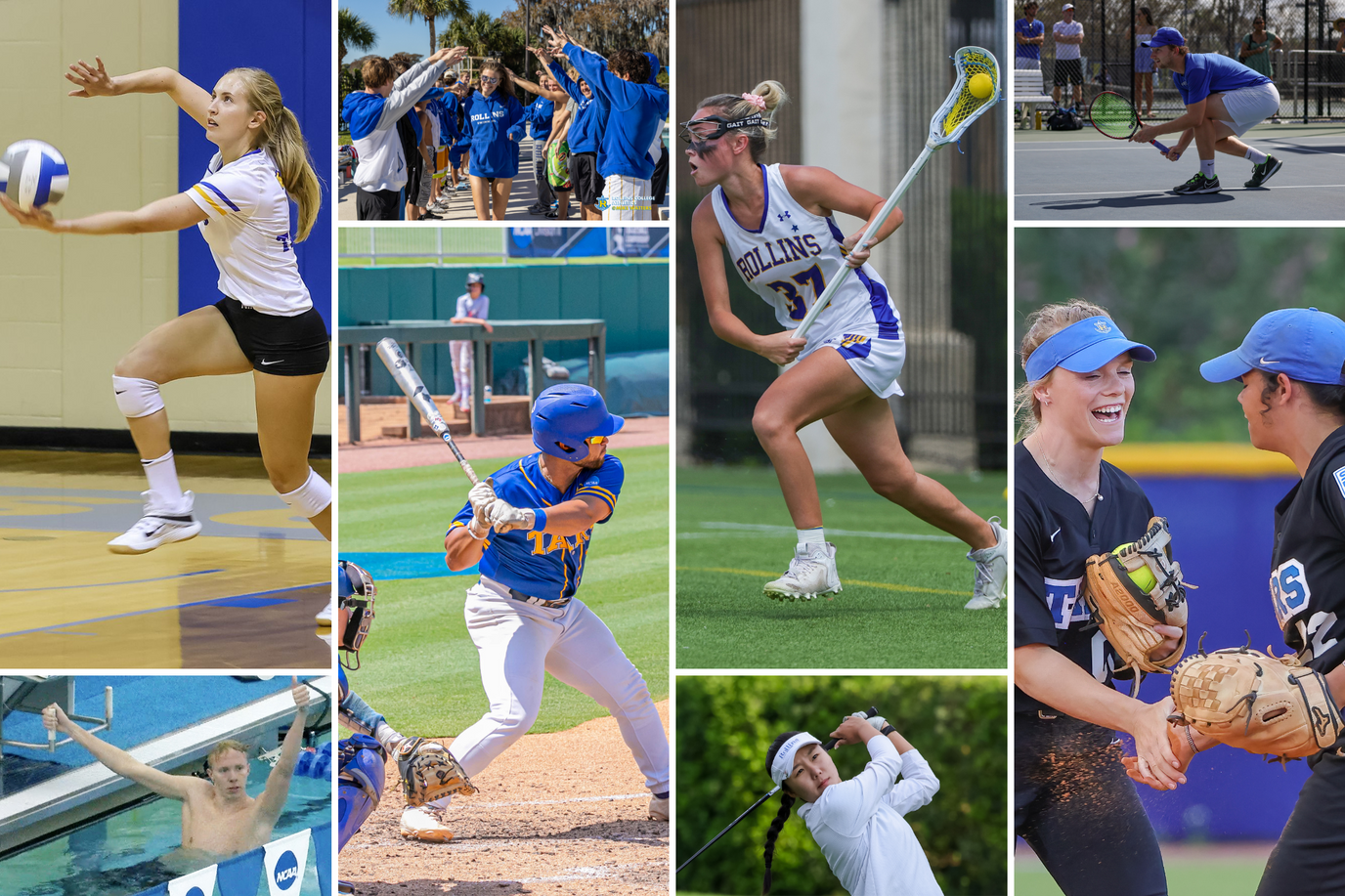 A grid of images depicting Rollins’ various varsity sports teams.