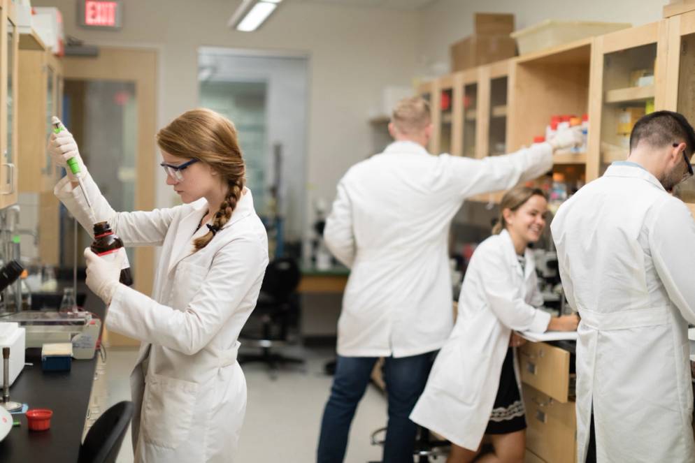 Biology students complete a lab.