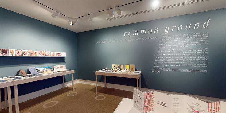 A screen grab from a virtual tour of Common Ground, an exhibition at the Rollins Museum of Art.