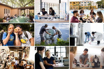 A grid of images depicting living and learning at Rollins College. 