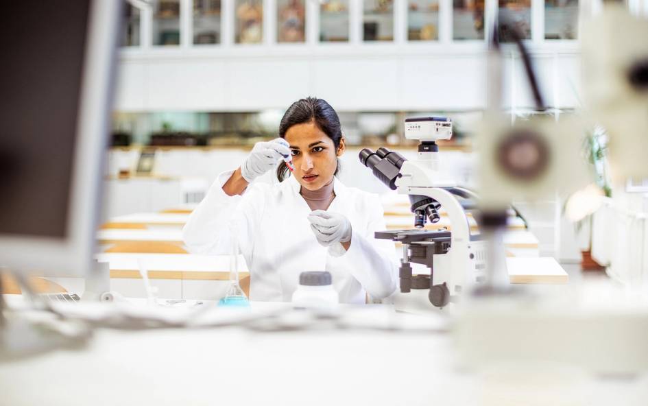 A Rollins student examines a sample in a lab.