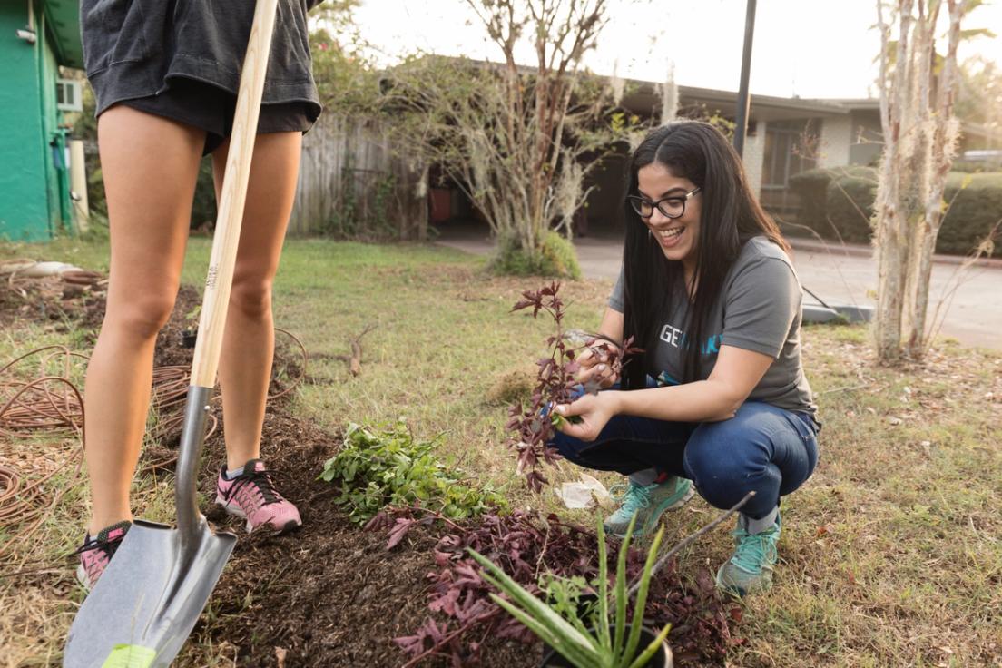 Professor Balzac-Arroyo clips cranberry hibiscus flowers.