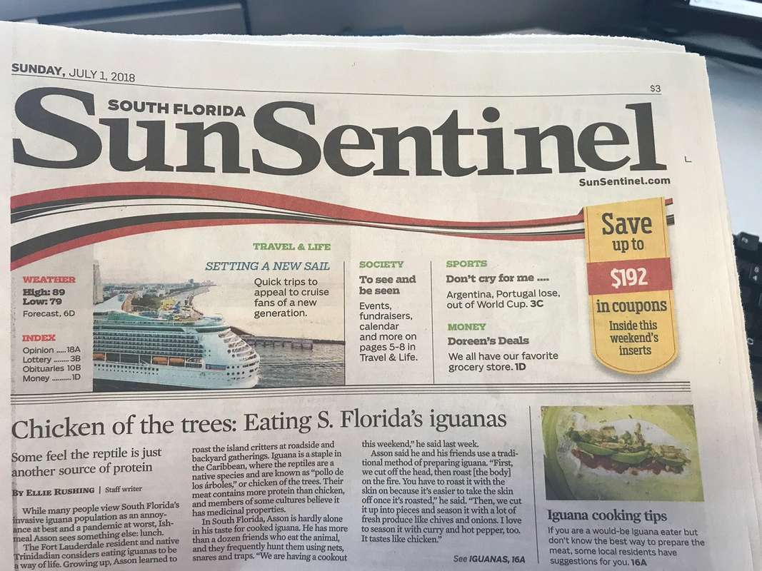 Ellie Rushing's story in the South Florida Sun Sentinel about Florida iguanas.