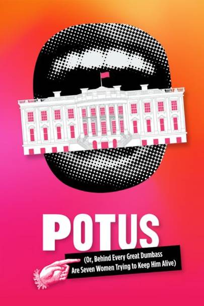 POTUS (Or, Behind Every Great Dumbass Are Seven Women Trying to Keep Him Alive) show poster