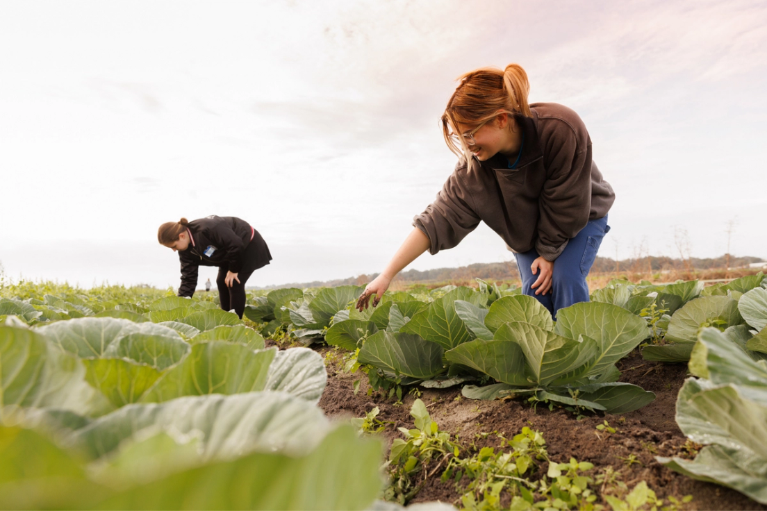 Rollins students doing farm work on an Immersion