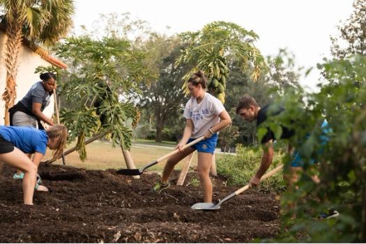 Student work in a garden