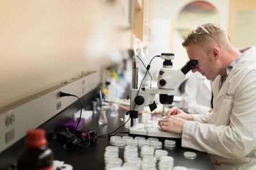 Rollins student looking through a microscope in a biology lab