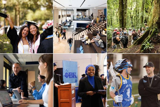 A grid of images from Rollins College