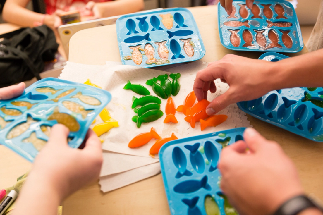 Assorted fish gummies made by chemistry students.