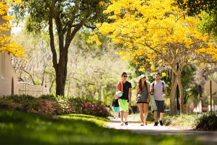 Students walk through campus surrounded by blooming trees