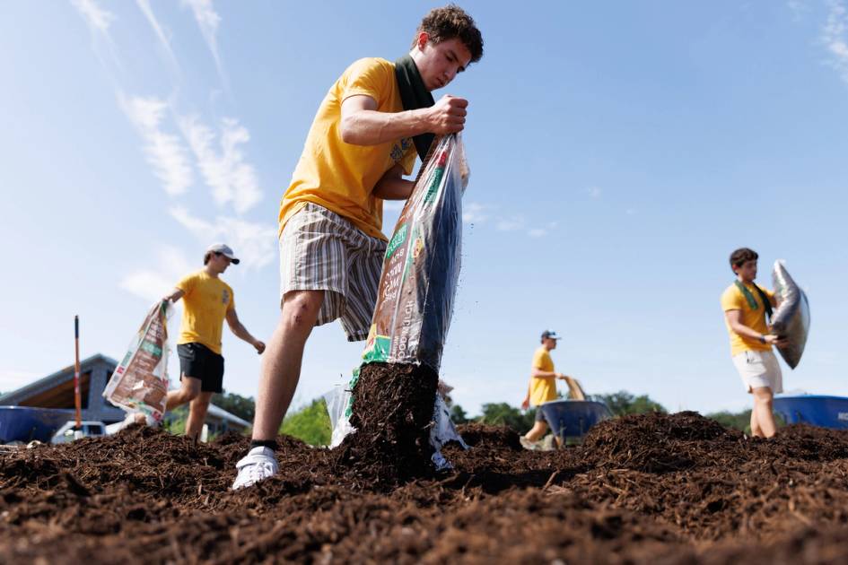 A student empties a bag of mulch during a service event.