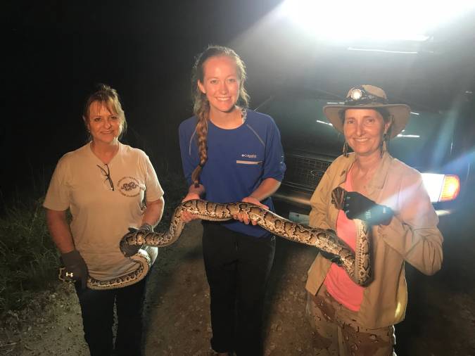 Elllie Rushing ’19 holds a Florida python while reporting on a story for the Sun Sentinel.