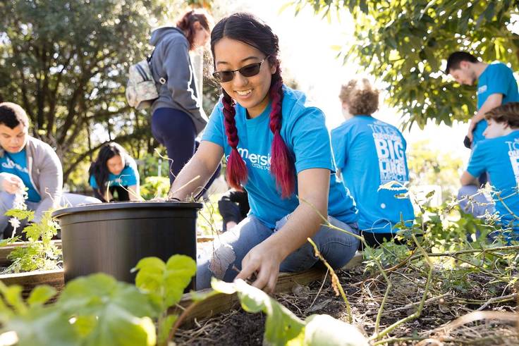 A student wearing sunglasses and a bright blue t-shirt pulls weeds in a community garden.