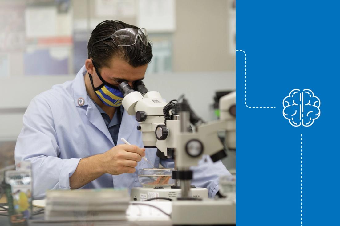 Colin Kelly ’19 ’21MBA uses a microscope in a Rollins biology lab.